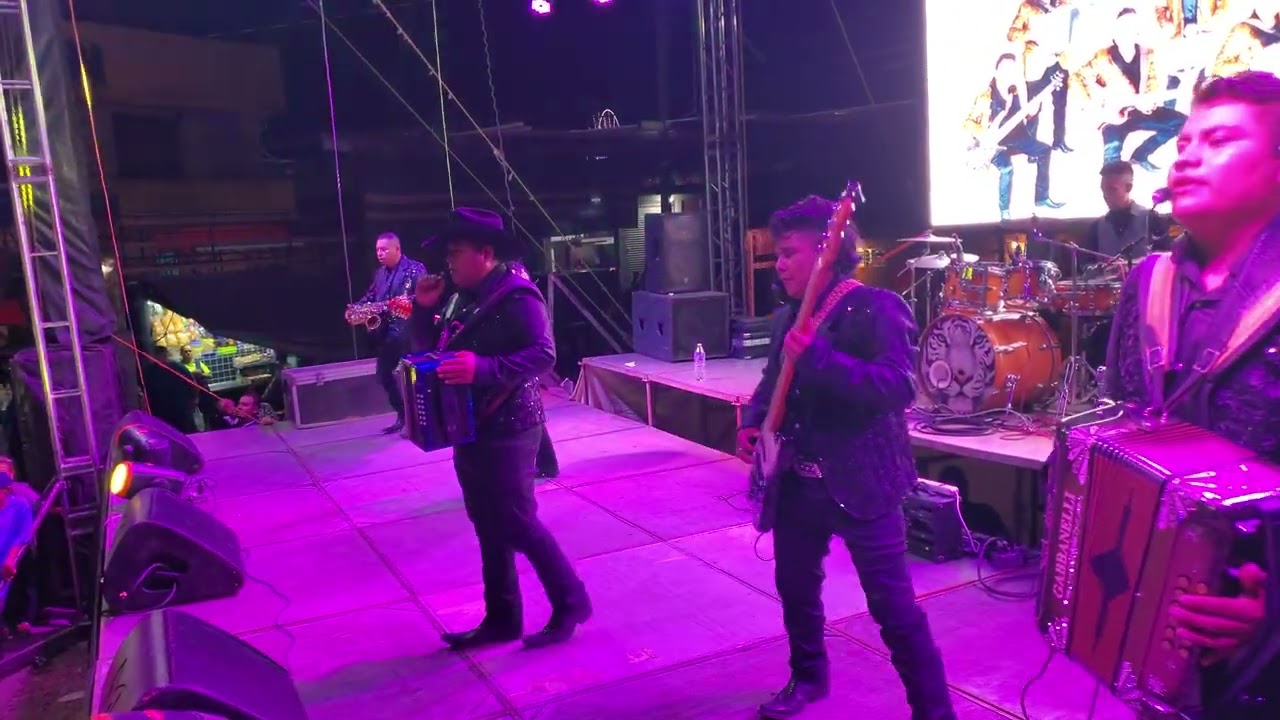 Los Felinos Del Norte - Mi Sangre Prisionera