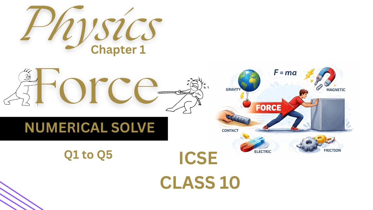Physics Chapter 1 Force | Numericals Solve | ICSE CLASS 10