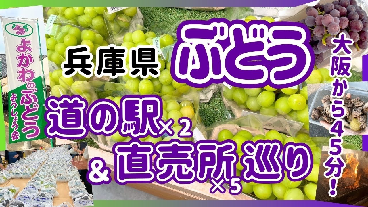 【直売所めぐり！】旬のぶどうを買いに道の駅や直売所に行ってきた【兵庫県三木市よかわのブドウ 地鶏ひろ】
