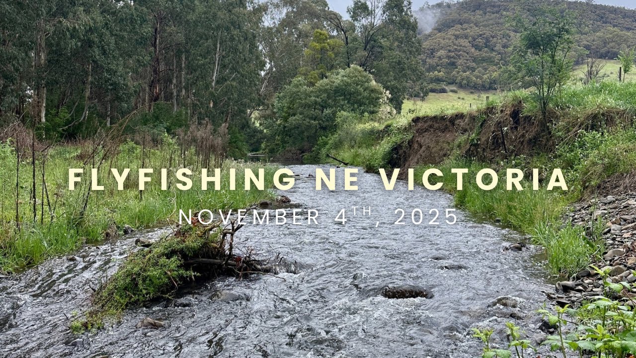 Fly Fishing NE Victoria 04/11/2025