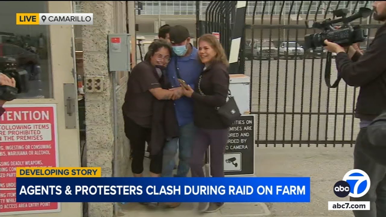 Emotional reunion after federal immigration raid at Camarillo cannabis farm