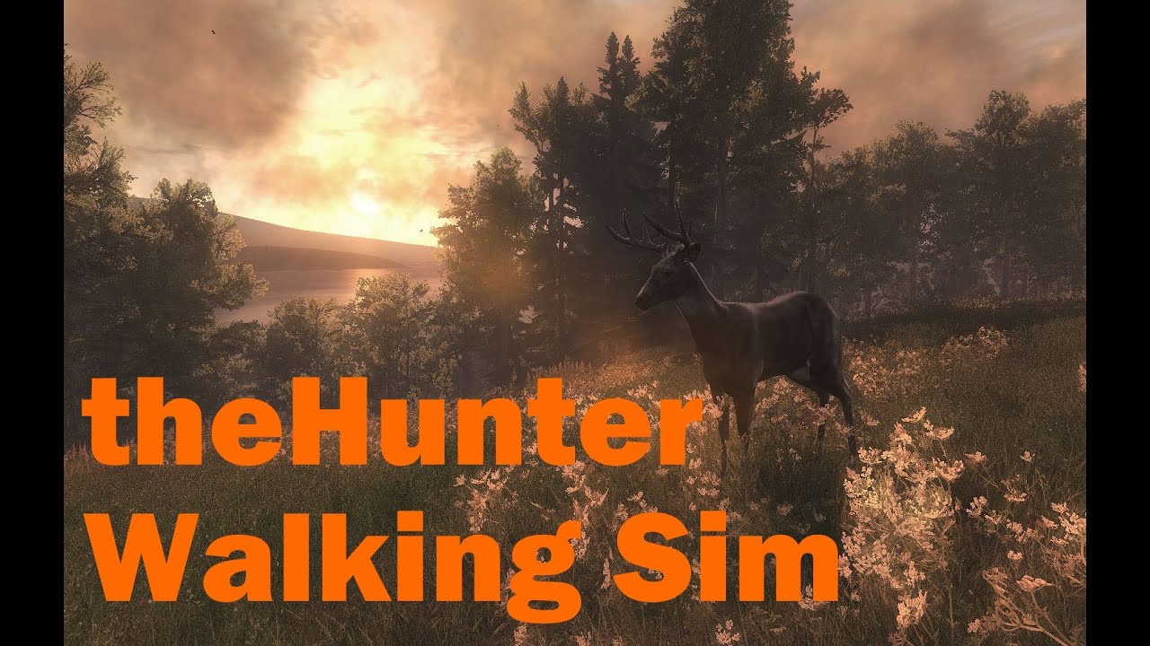 theHunter - Walking simulator