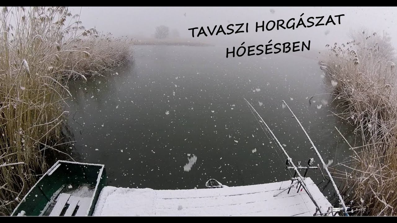 Tavaszi horgászat - pontyra és harcsára - 1. rész. Spring fishing for catfish and carp.