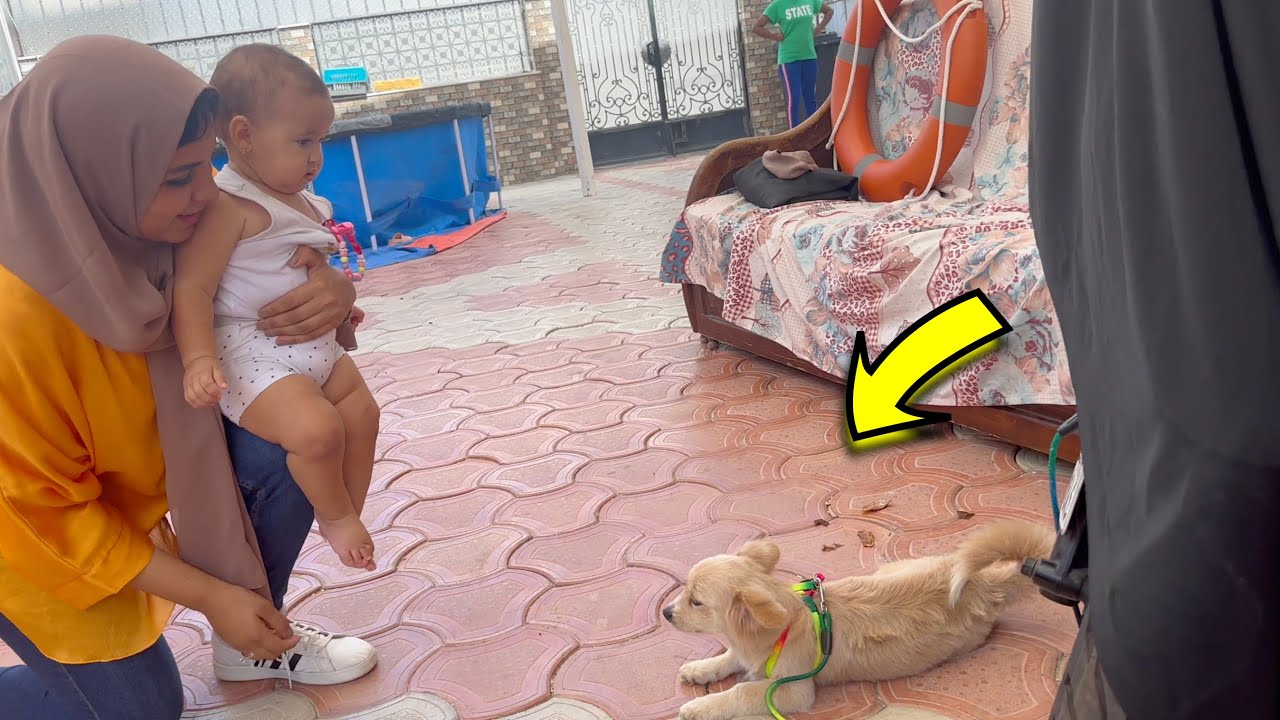 اصالة بتحب الحيوانات - شوف عملت اية مع الكلب !