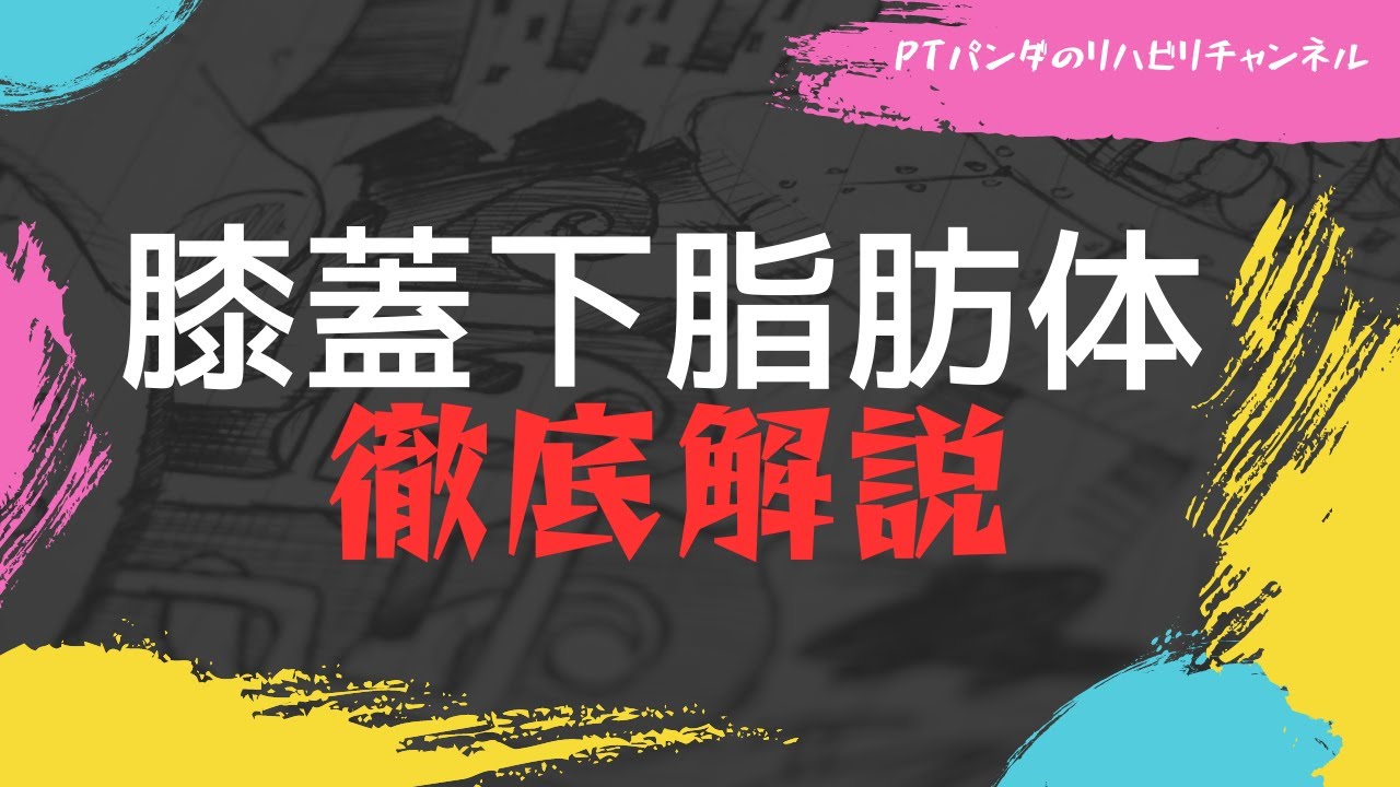 膝蓋下脂肪体　徹底解説