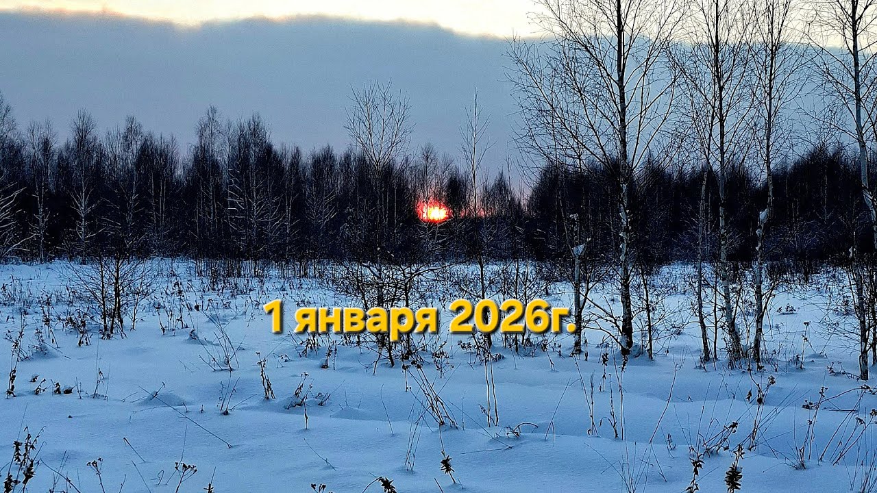 Чем мы занимались 1 января 2026г.