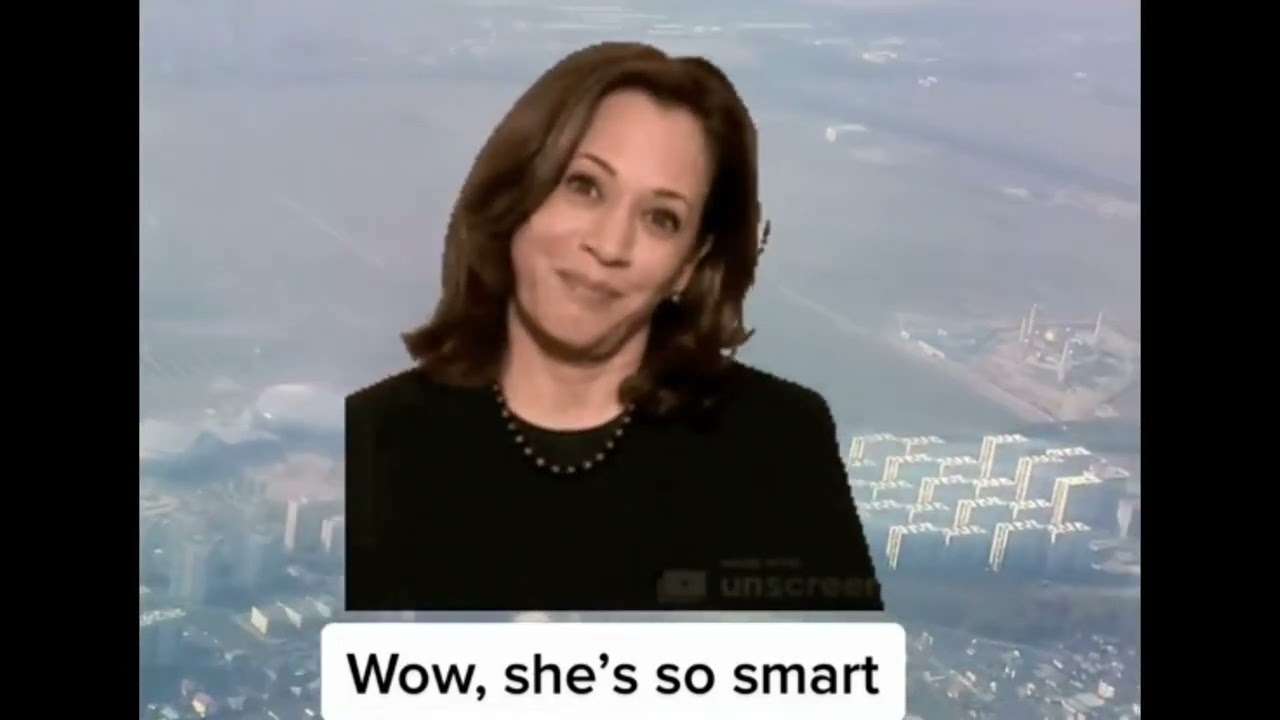 Ukraine-Russia War for Dummies explained by Kamala Harris