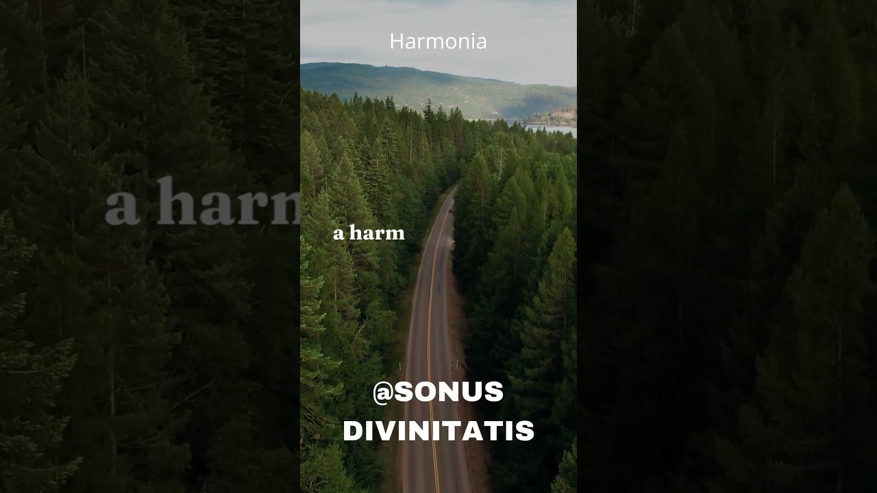 #shorts Nuta Siły. Motywacja autor&oacute;w i muzyk&oacute;w- Sonus Divinitatis nr.22