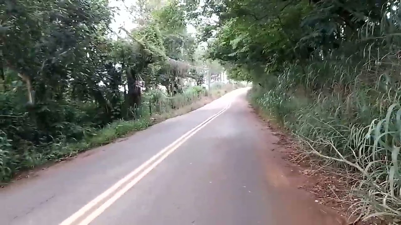 gente  deus  mente  ou  não  vamos  ver  