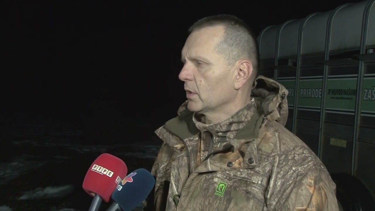 Predsednik Upravnog odbora TRB Dragan Lukač o jelenskoj divljači uvezenih iz Srbije