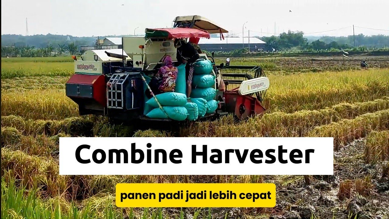 Combine Harvester