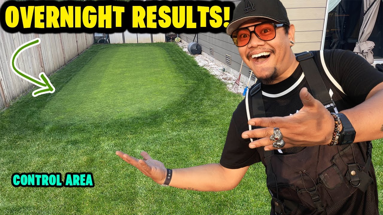 This FERTILIZER had crazy RESULTS OVERNIGHT with PROOF!