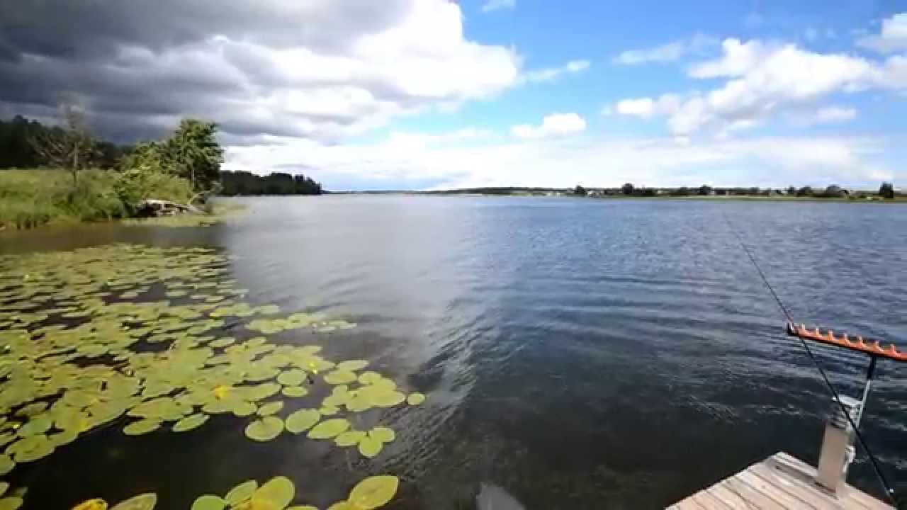Нарова, рыбалка на фидер, охота на леща (1080p HD)