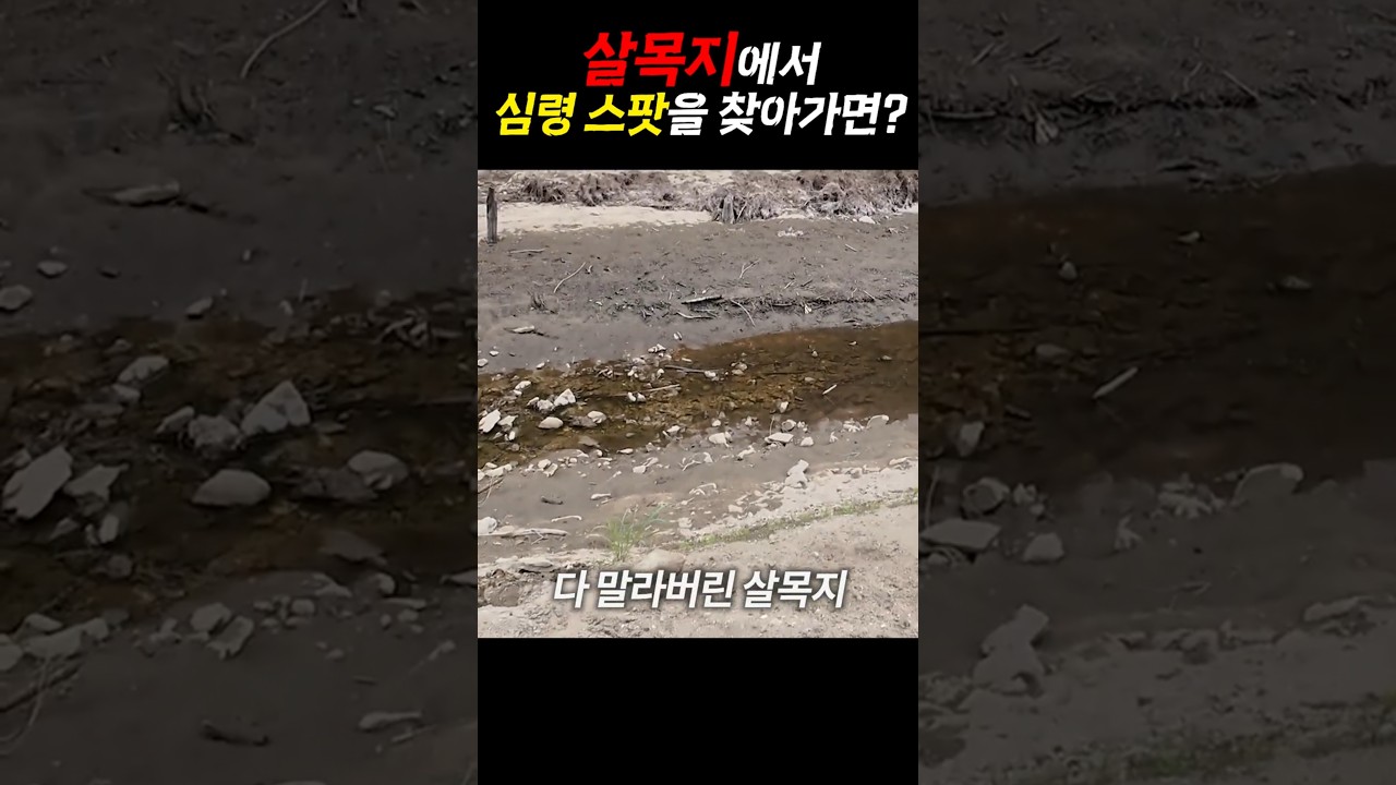 화제의 '살목지' 에서 란더노티카를 해본다면?