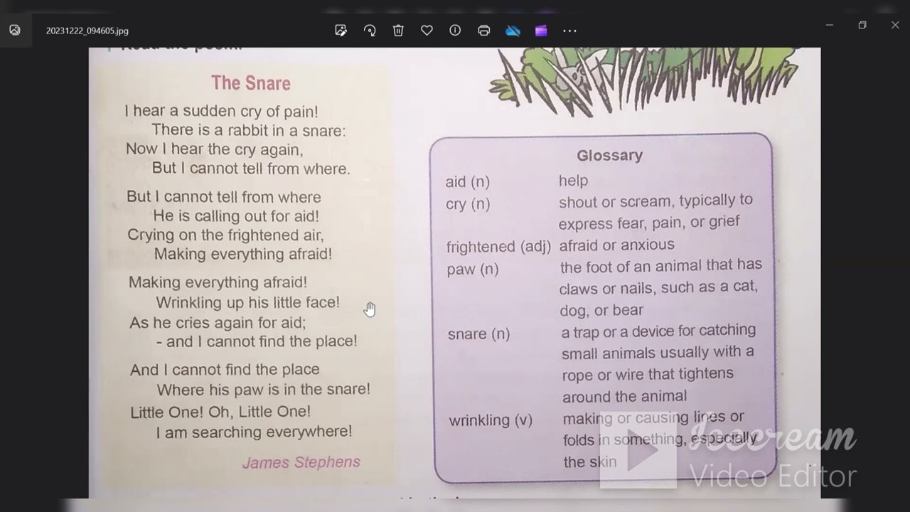 The Snare