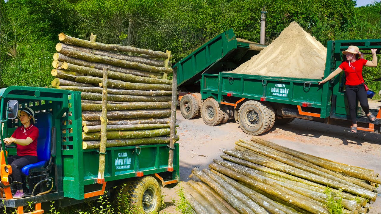 REWIND TIMELAPSE – Use Truck to Transport Sand Go to Sell. Helping Villagers Move Wood to Lumberyard