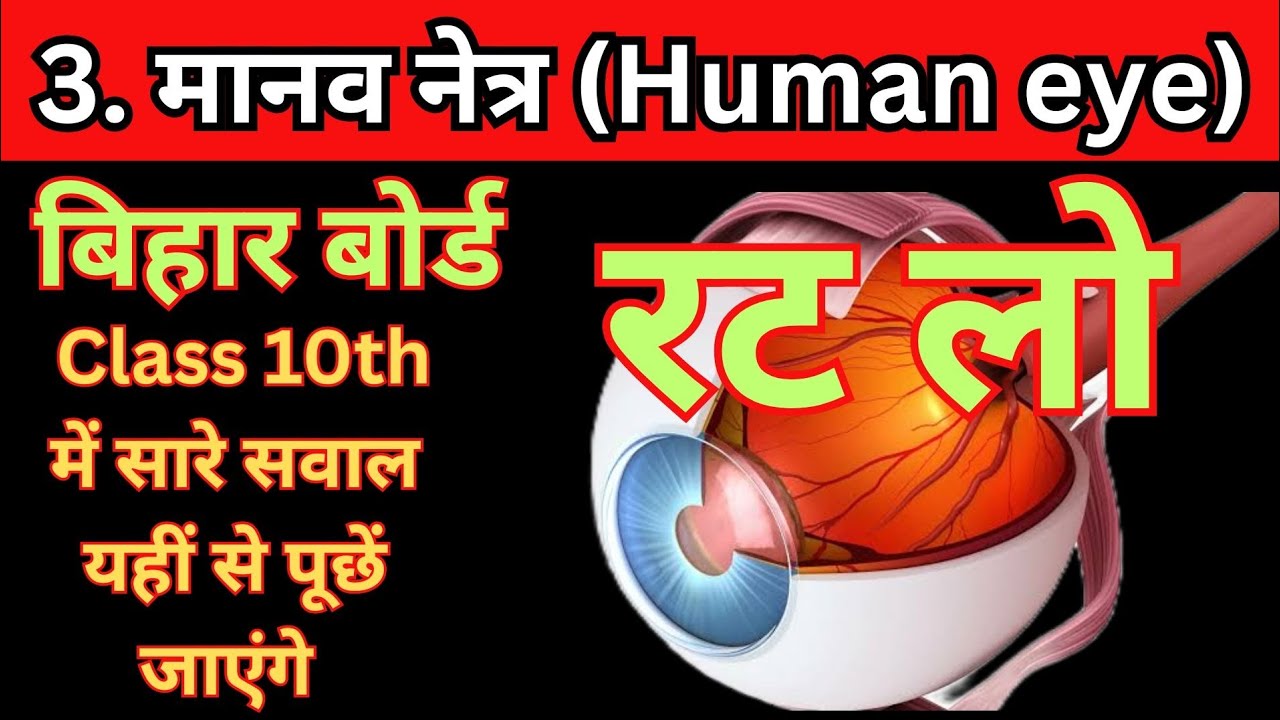मानव नेत्र(human eye)Bihar board class 10th Objective question Science chapter -3 #physics #humaneye