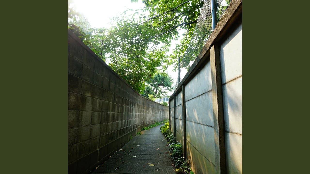 あの風、こもれび