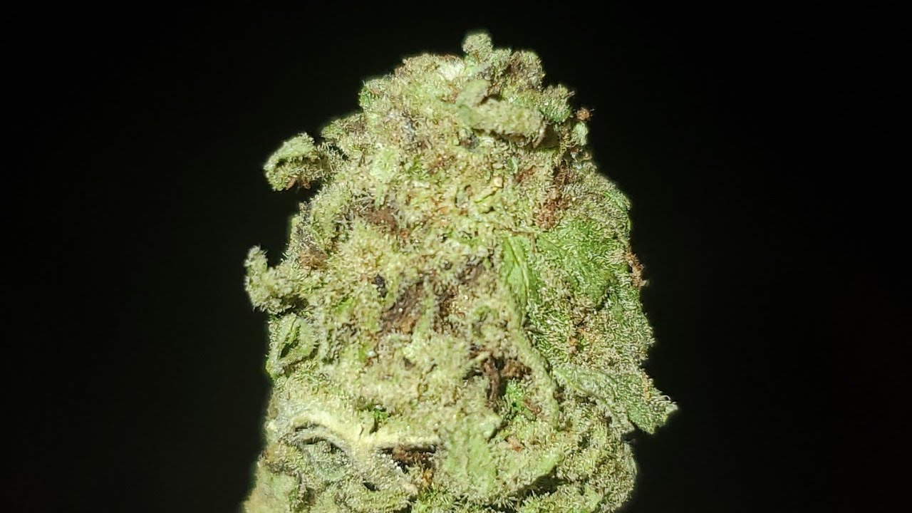 GUAVA CAKE STRAIN WAKE AND BAKE STYLE