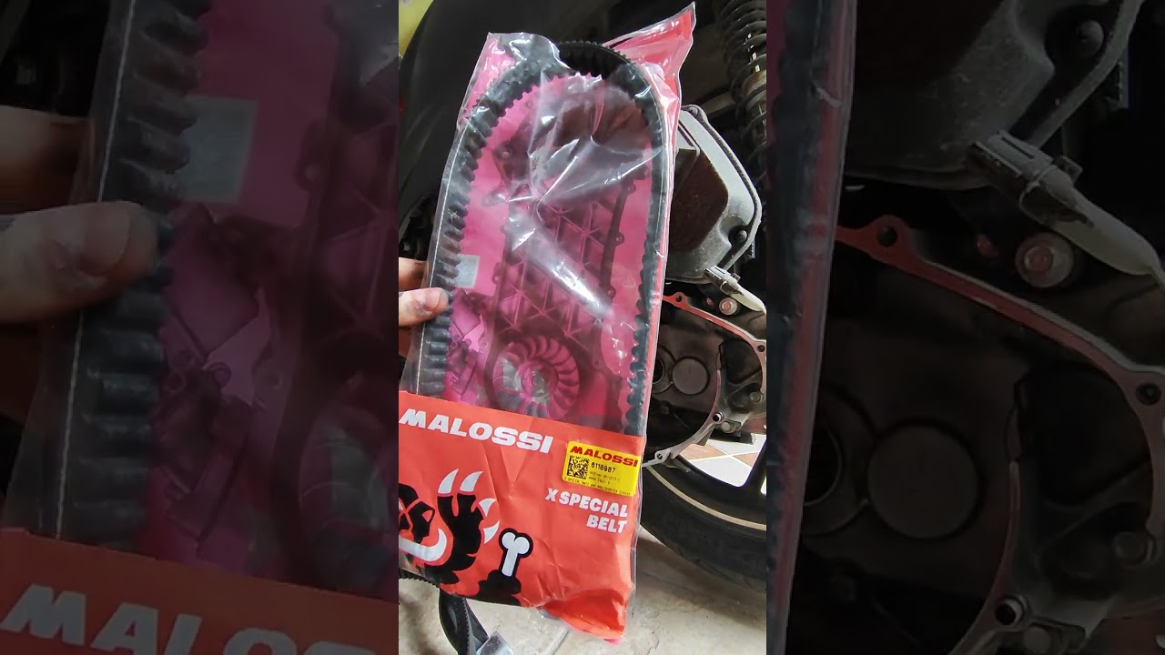 HONDA SH 150 2022 SERVICE | Change belt to malossi and clean cvt | 20.000km