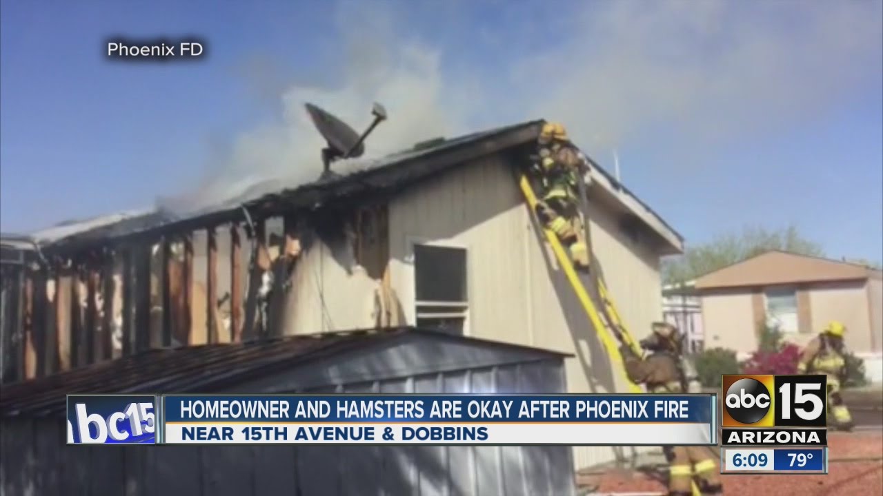 Homeowner, hamsters OK after PHX fire