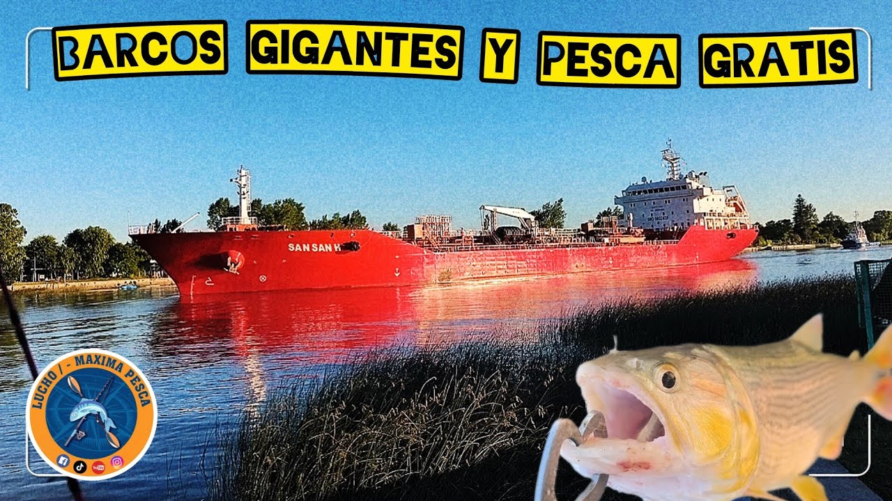 PESCAR GRATIS Y CON BARCOS