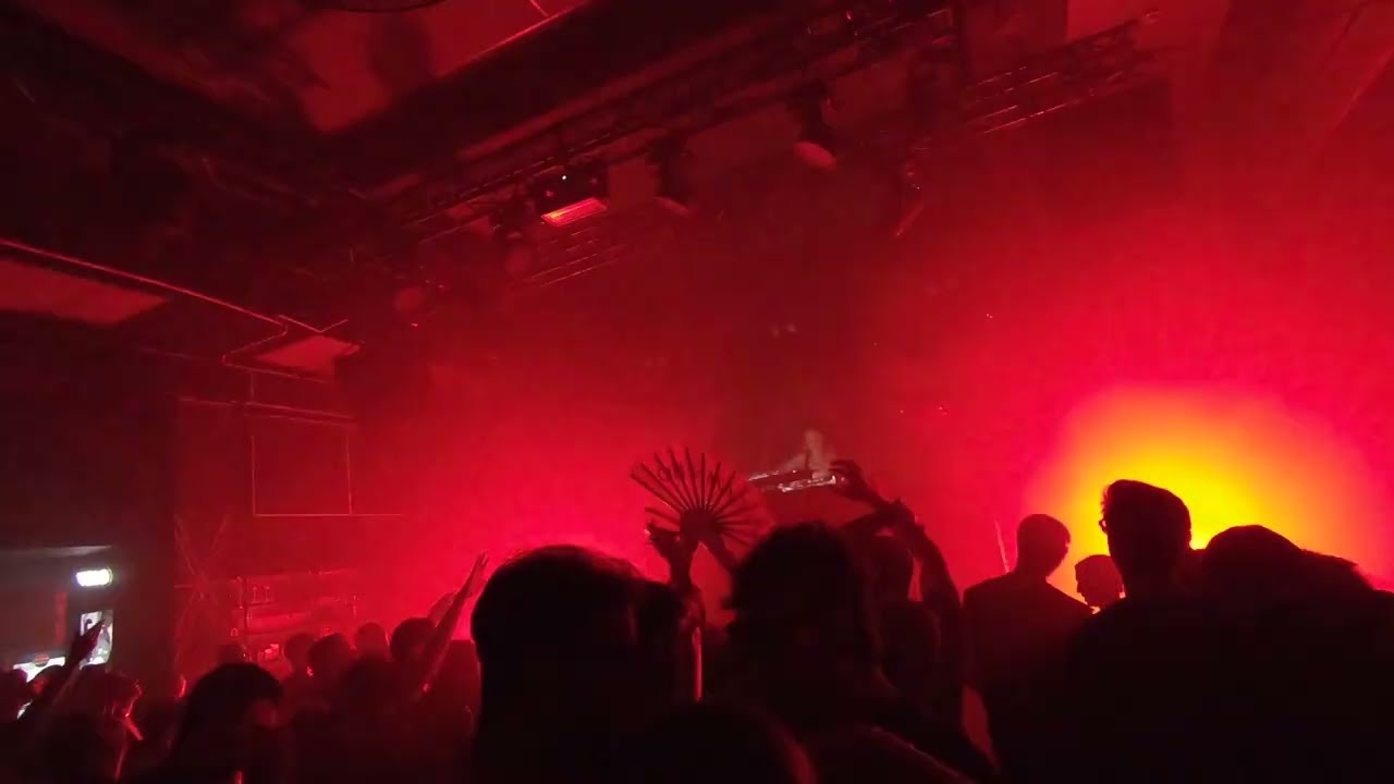 Oczki 06 12 2025 Vitcat