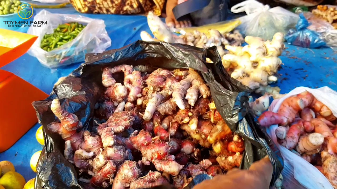 Harga jahe gajah dan jahe merah di Pasar Rao, Pasaman, Sumbar