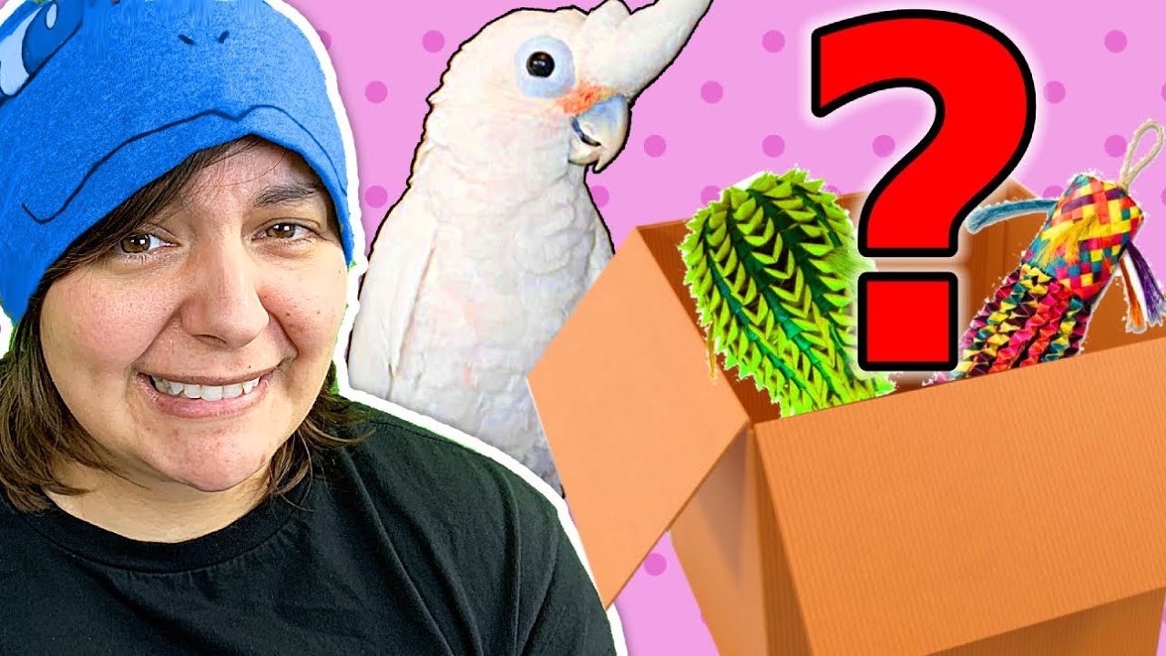 HUGE MYSTERY BOX for my Parrot from Planet Pleasures