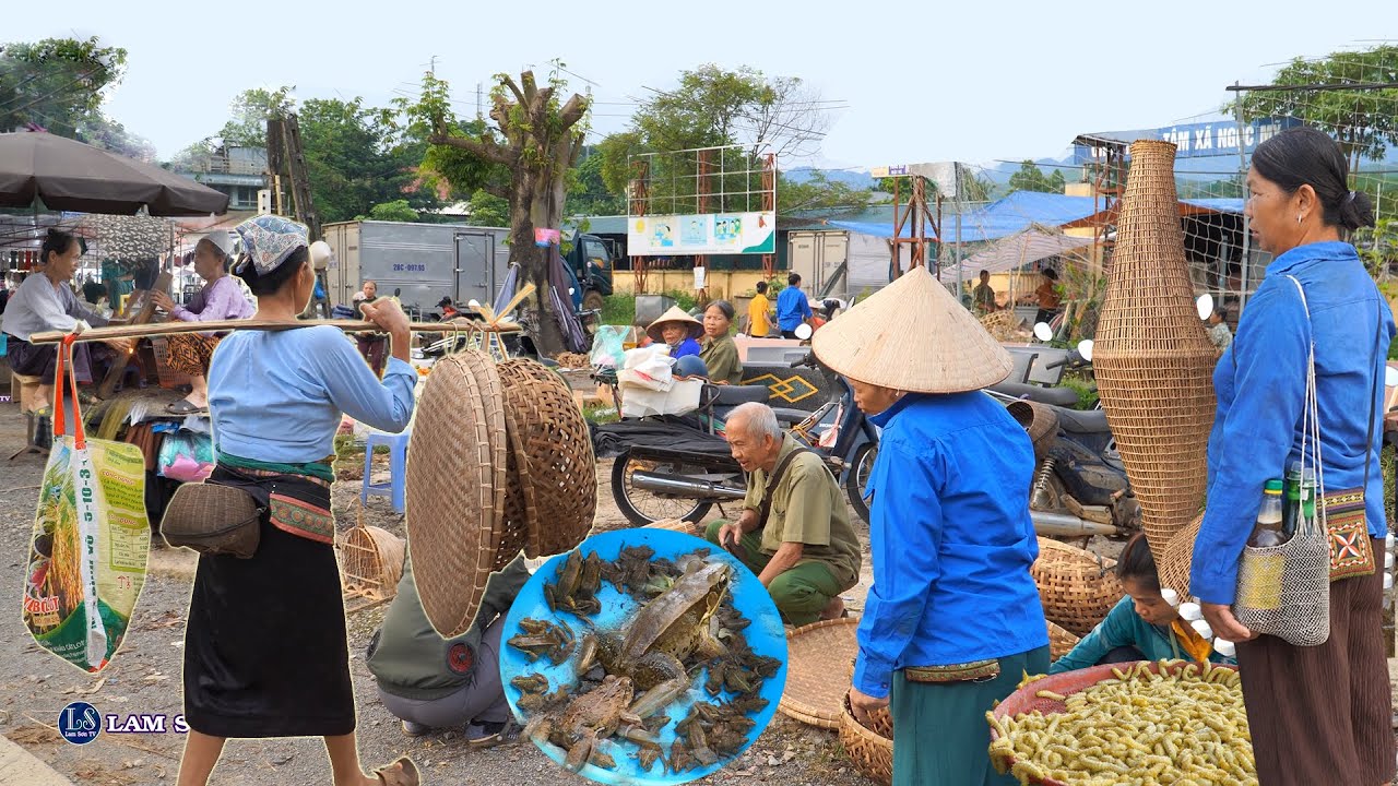 Chợ phiên Ngọc Mỹ - Người Mường, Phú Thọ | LAM SƠN TV