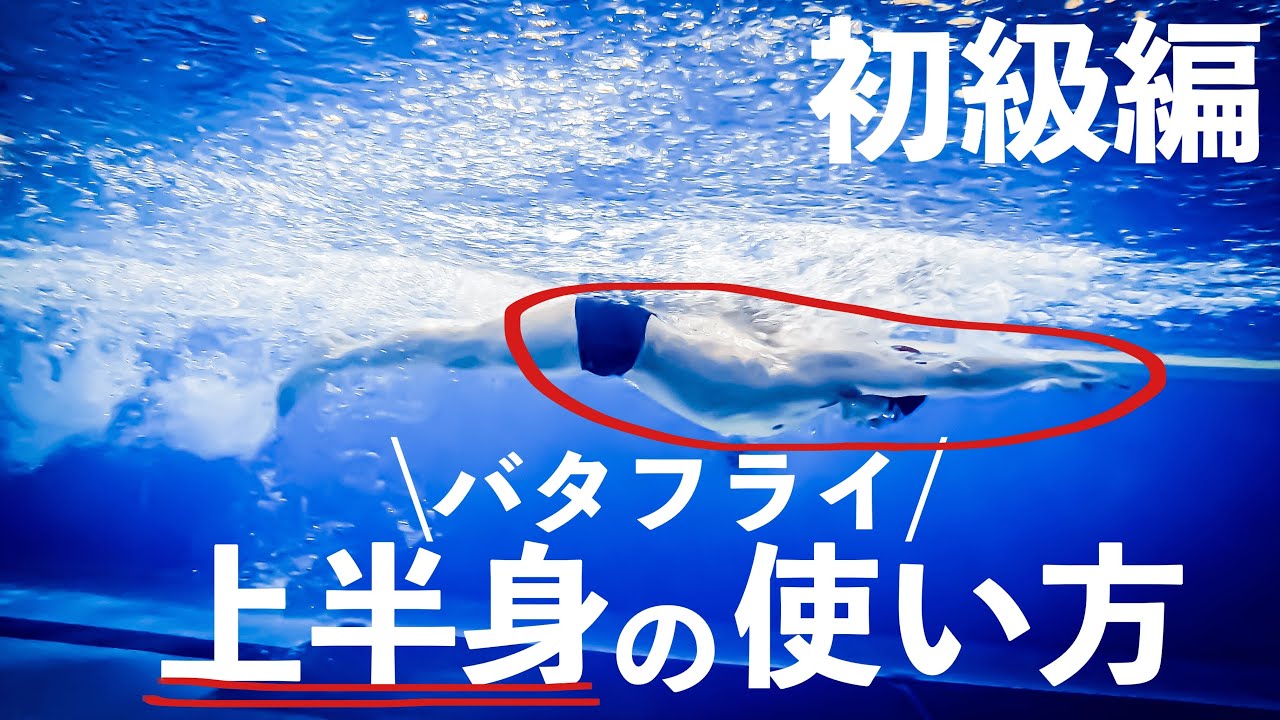 バタフライ初級編〜上半身の使い方〜