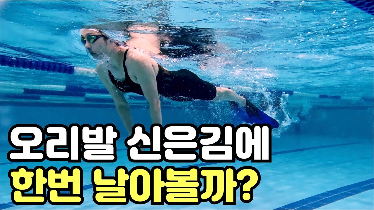 오리발 접영에서 흔히 보이는 문제점들 - 하이리페움 수영장 -