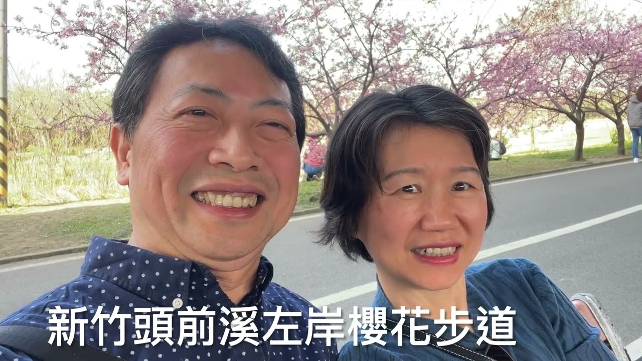 2026新竹左岸櫻花步道