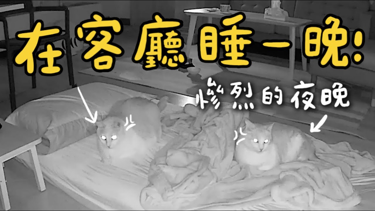 【黃阿瑪的後宮生活】在客廳睡一晚！慘烈的夜晚