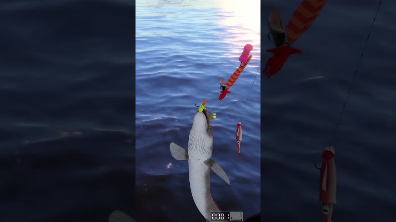 Konger 45kg  #fishing #mjplay #gaming #gameplay