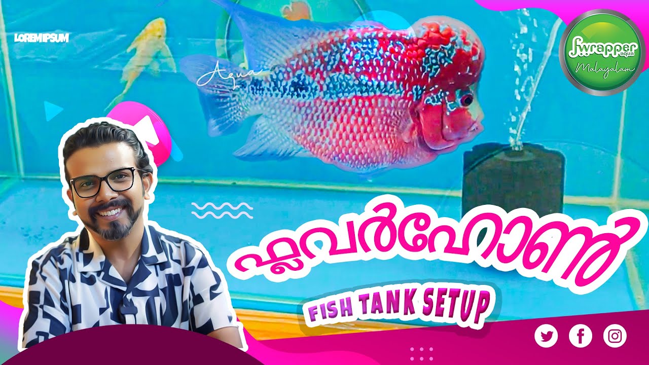 Flowerhorn Fish Tank Setup in MALAYALAM | 3 Feet bare bottom aquarium