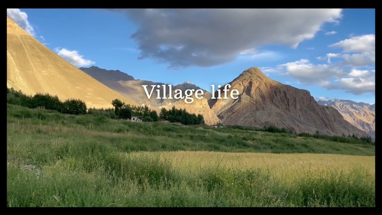 Slow summer life in the Himalayas 