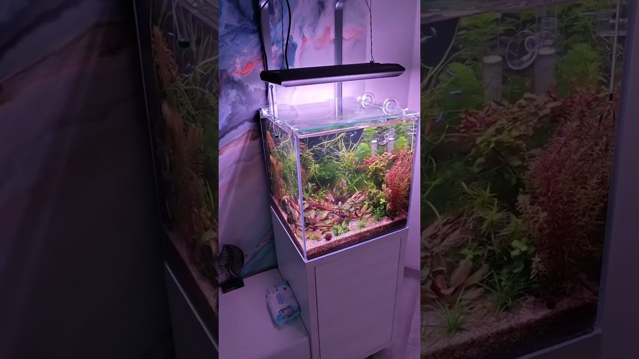 Как я переосмыслил значимость света после знакомства с AQUA CREATIV 
