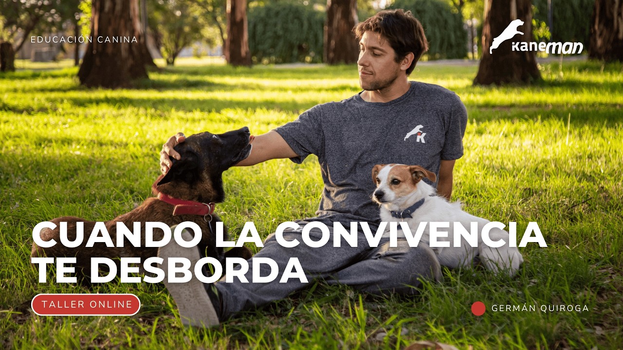 Cómo Transformar la Convivencia | Clase completa con casos reales