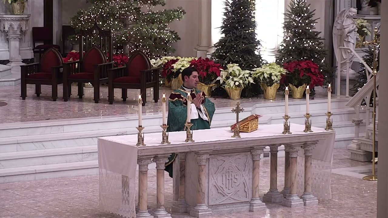 Santa Misa - domingo 1 de febrero del 2026
