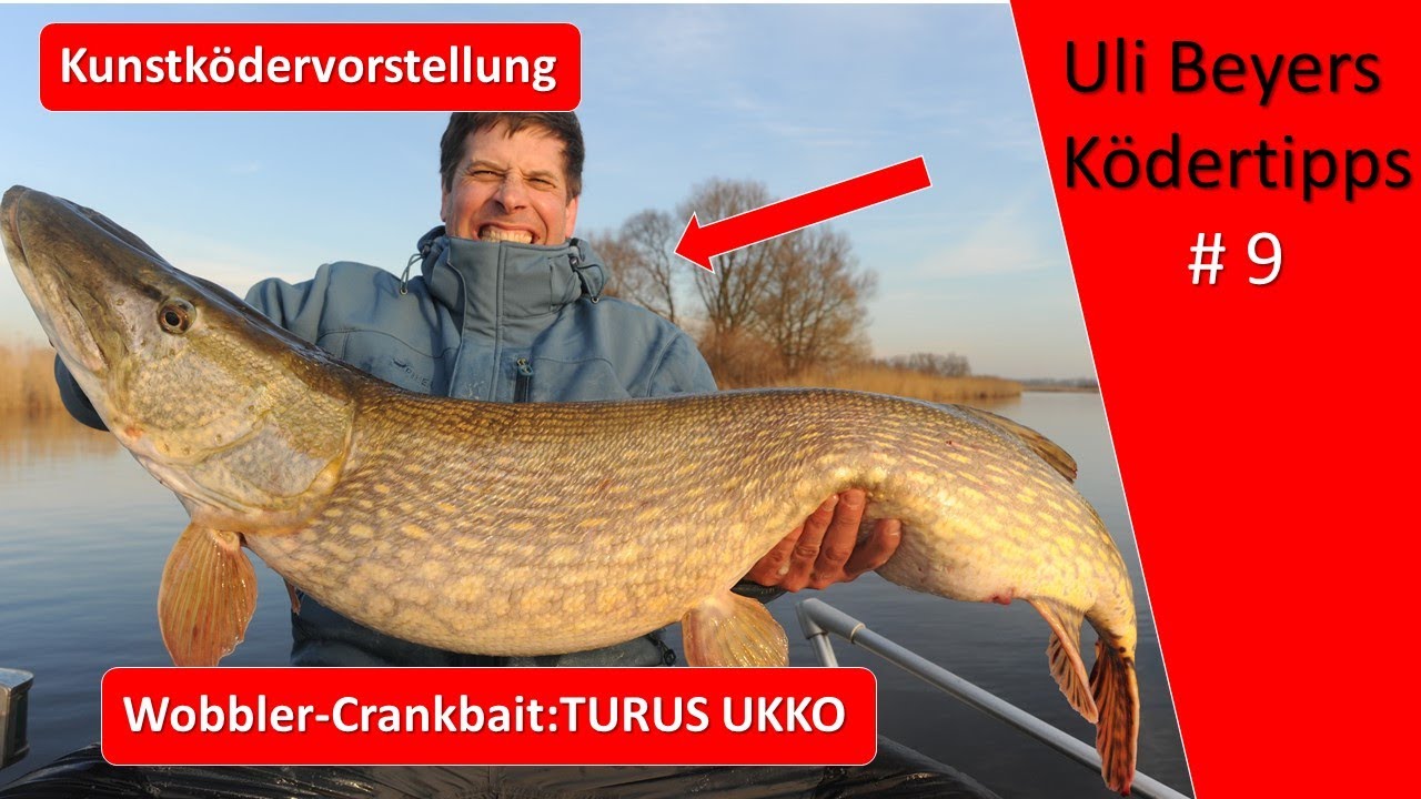 Wobbler Angeln: Turus Ukko als Crankbait