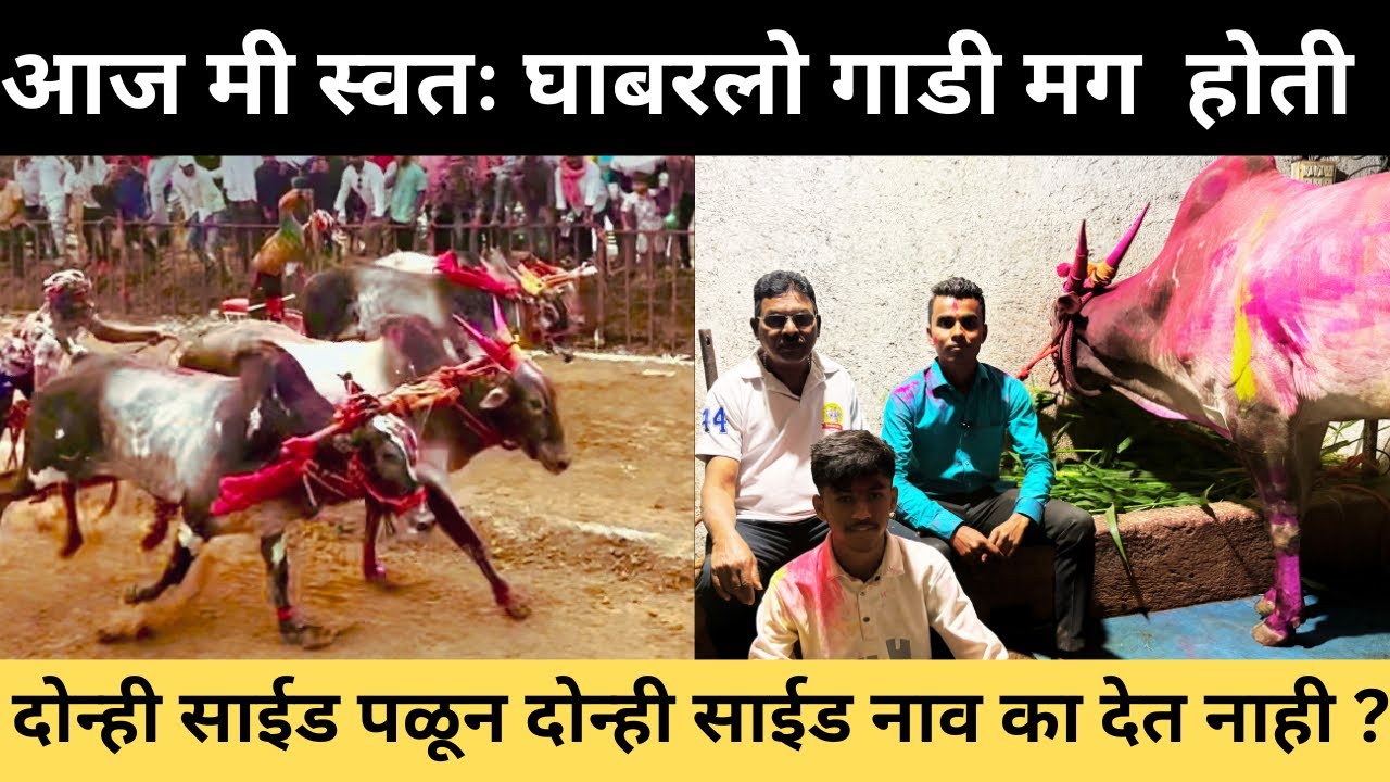 भुंगा-सैराट v/s मेहरबान-सिकंदर सुनील पाटील यांची मोठी प्रतिक्रिया आज मी घाबरलो होतो गाडी मागे होती🙏