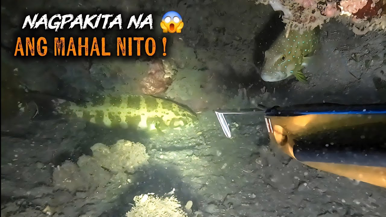 NAGPAKITA NA ANG MAMAHALING ISDA 😱  | EP 207 | NIGHT SPEARFISHING PHILIPPINES | Drin's Adventure