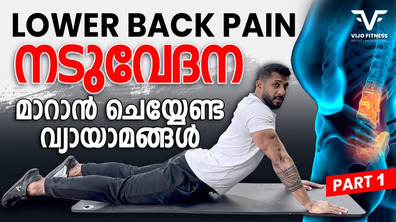 LOWER BACK PAIN | നടുവേദന മാറാൻ ചെയ്യേണ്ട വ്യായാമങ്ങൾ | STRETCHING PART - 1 | VIJO FITNESS