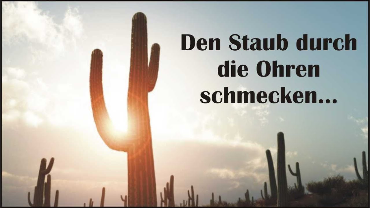 Den Staub durch die Ohren schmecken: fünf speziell-grossartige Roots-/Americana-Alben für alle Fälle