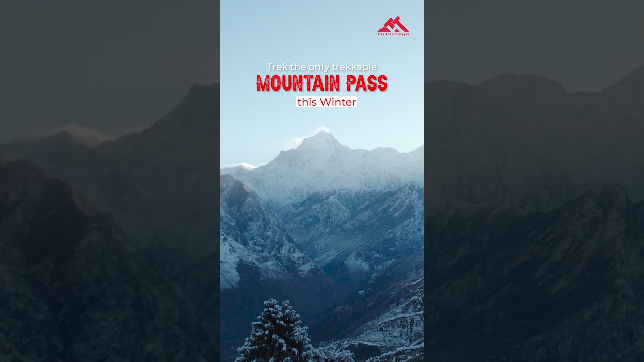 Frosty Adventure: Kuari Pass Winter Trek!