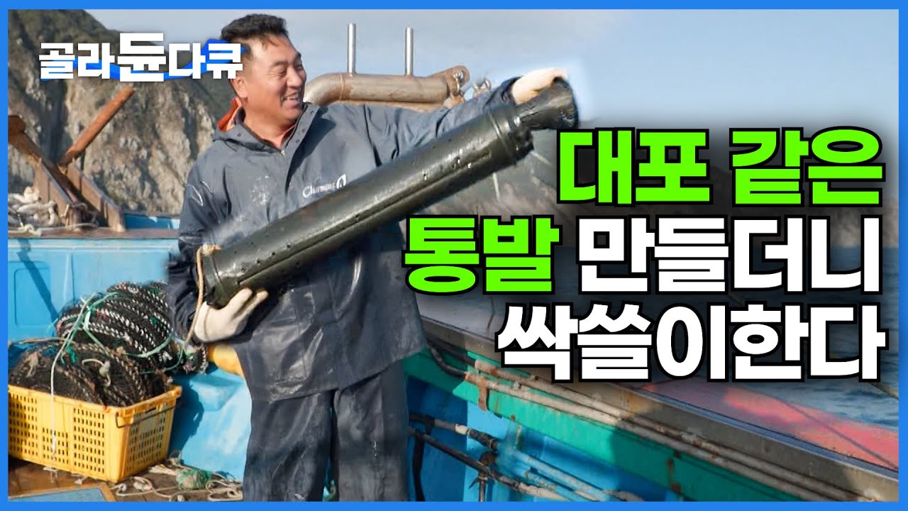 대포 같은 통발 바다에 넣었다가 건지니 고기가 바글바글ㅣ비싼 고기에 함박웃음이 절로 난다ㅣ한국기행│#골라듄다큐