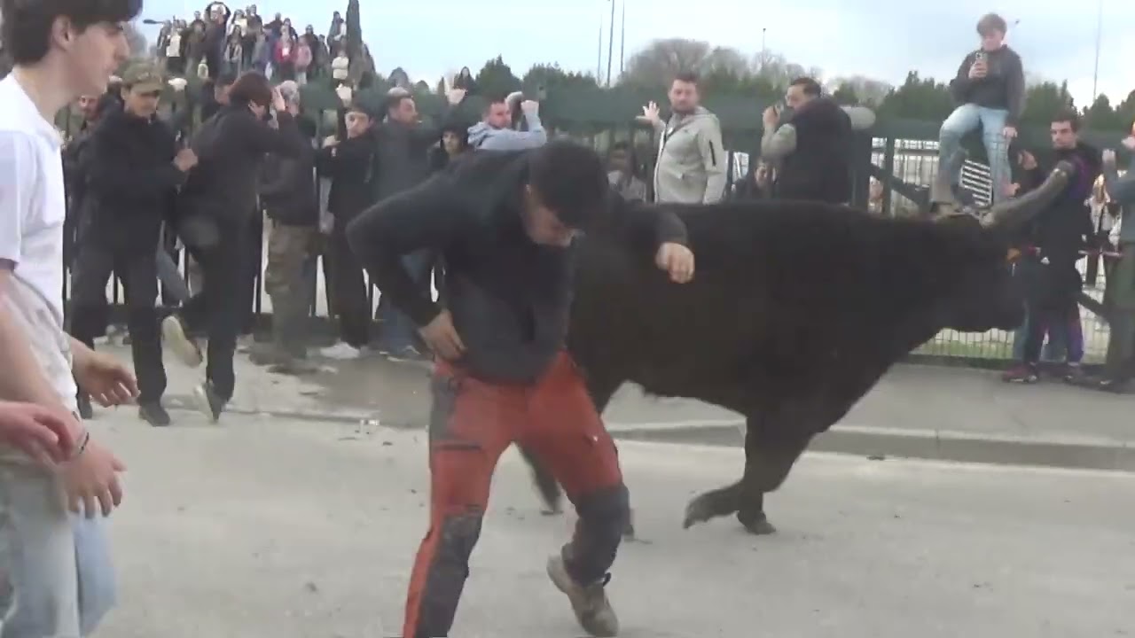 28 Février 2026 Abrivado Manade Lescot À Mollégès 