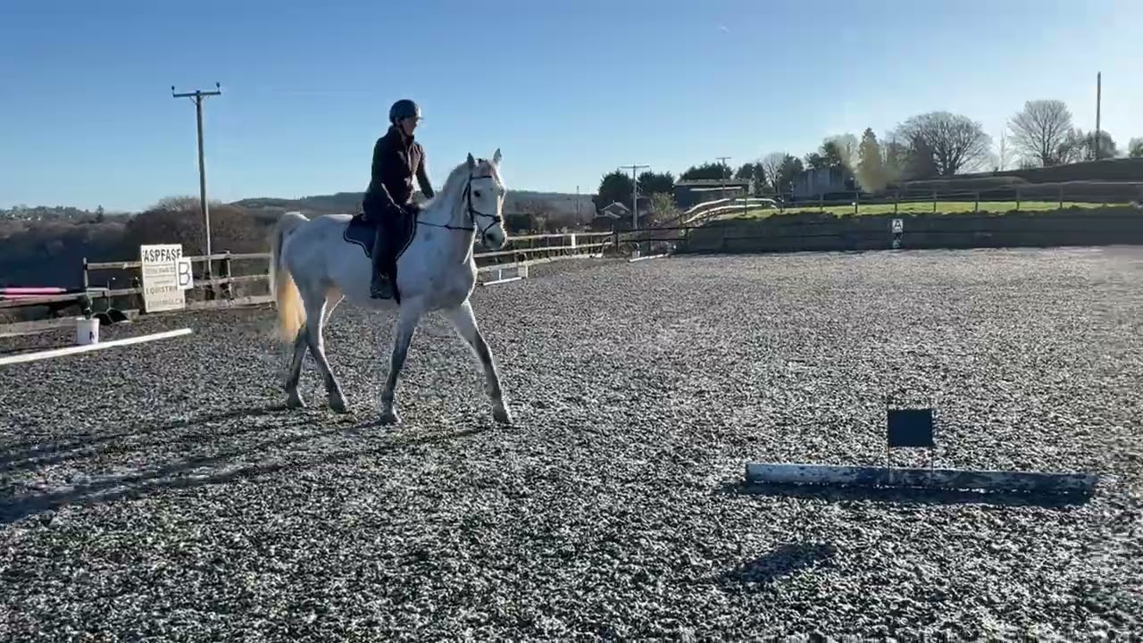E Riders BD Intro 4 2024
