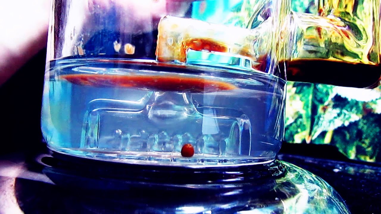 [HD] Dabbin On Dank Shatter With The Toro Hex